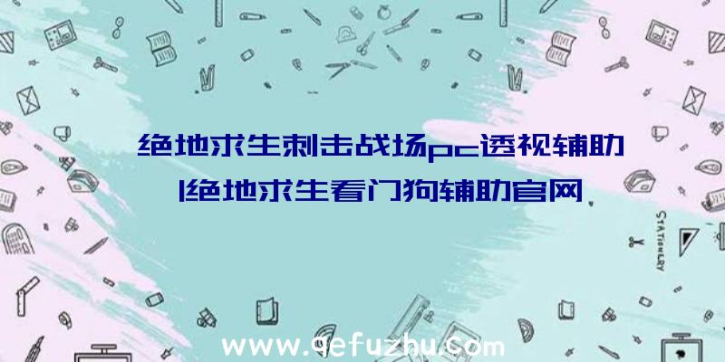 「绝地求生刺击战场pc透视辅助」|绝地求生看门狗辅助官网